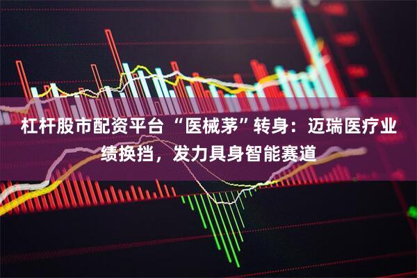 杠杆股市配资平台 “医械茅”转身：迈瑞医疗业绩换挡，发力具身智能赛道